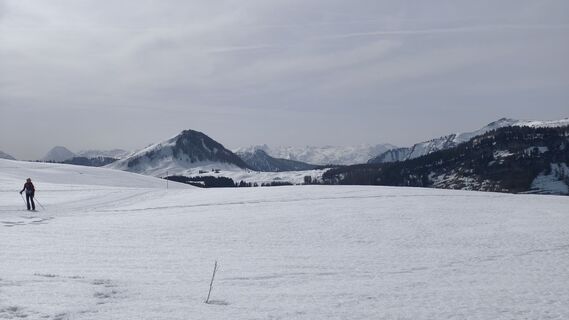 Photo de Jadorfer le long du parcours