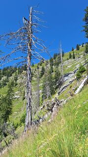 Zdjęcie z RobuC wzdłuż trasy