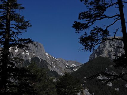 Schwabenbartl - Windgrube - Mittereralm - Fölzalm