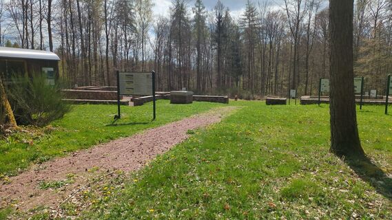 Fotografia z Sascha Arndt na trase