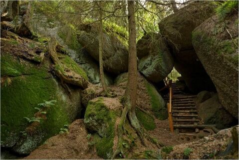 Bärentrail
