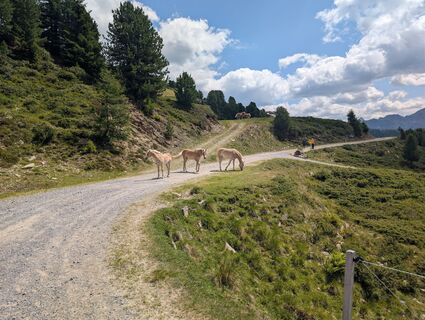 Foto de Benjamin Bergmann a lo largo del recorrido