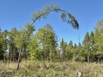 Zdjęcie z berg-wanderer wzdłuż trasy