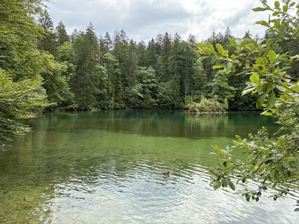 Fotografia z Ibo Baur na trase