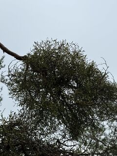 Foto von Maximilian Dobmeier entlang der Tour
