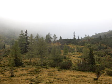 Erzherzog-Johann Hütte - Feistritz am Kammersberg
