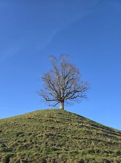Photo de bikeandcamp le long du parcours