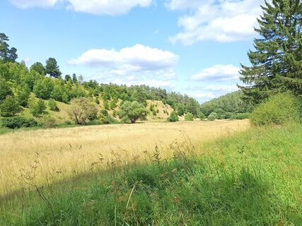 Foto de Eifeleddy a lo largo del recorrido