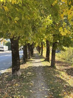 Photo de Markus Vogl le long du parcours
