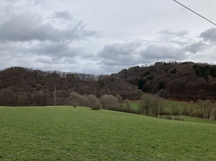 Wiesenlandschaft bei Eimelrod