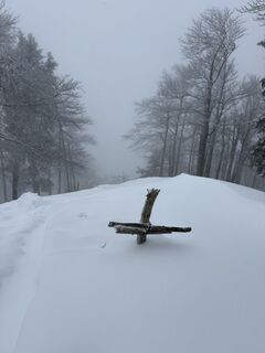 Foto von Berg Noar entlang der Tour