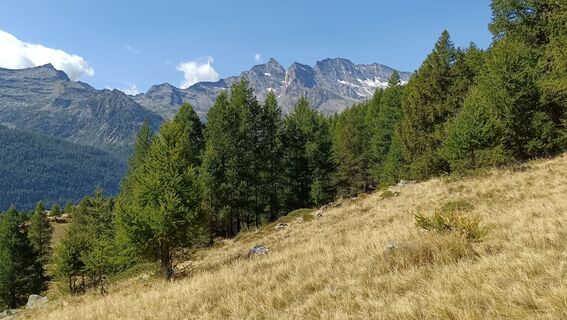 Foto de Maurizio Dell'acqua a lo largo del recorrido