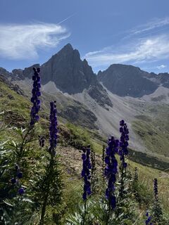 Fotografie de la Egon Mayer de-a lungul turului