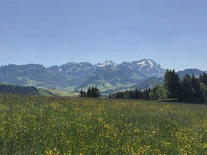 Photo de C G 16 le long du parcours