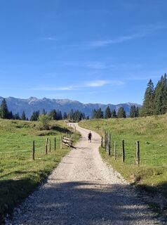Foto von Miha Gros entlang der Tour