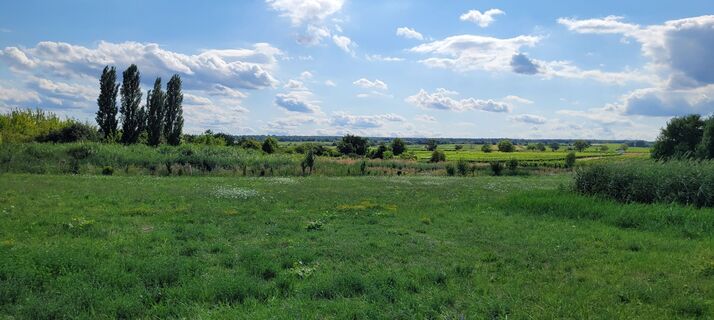 Fotografia z Nicky na trase