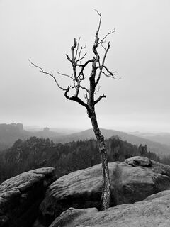Foto von Carl entlang der Tour