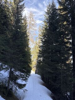 Fotografija s spletne strani Bergfex User na poti