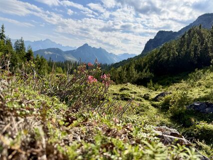Foto von Schnee-Hexe entlang der Tour