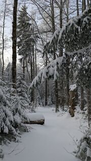 Foto von TaNja85 entlang der Tour