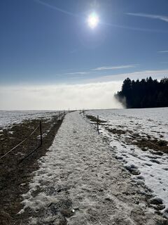 Photo de Clemens Roiß le long du parcours