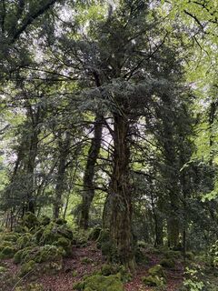 Photo de MarcoBO1967 le long du parcours