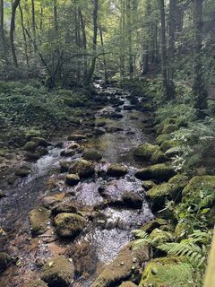 Fotografija s spletne strani Adnan Cemal na poti