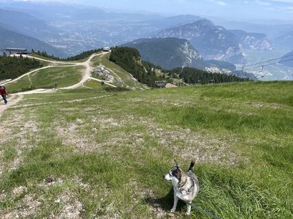 Foto von Steffen Steingass entlang der Tour