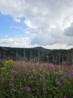 Photo de Lu. na le long du parcours