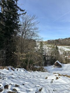 Fotografija s spletne strani Cyrill Bischof na poti