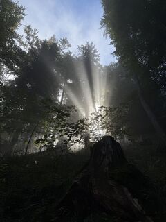 Fotografie z Lea Sophie Steinhäußer na trase