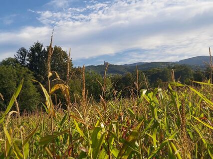 Ausblick nach Pöllauberg_NUP Pöllauer Tal_Oststeiermark