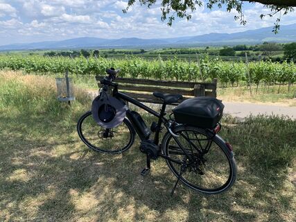 Foto von Martin Büttner entlang der Tour