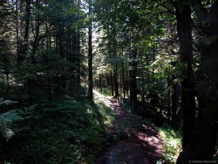 3-Tage HW - Etappe 3 - Jagersteig