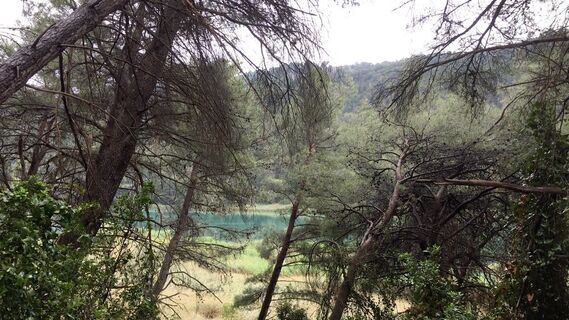 Foto fra Lomalinda undervejs på turen