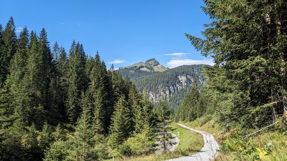Foto von Ralf Hohenbichler entlang der Tour