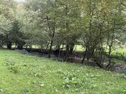 Foto de Gerzabek Jeremias a lo largo del recorrido