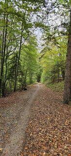 Foto von garrincha entlang der Tour