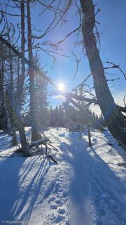 Foto von Gerhard Wilding entlang der Tour