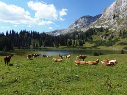 Sackwiesensee