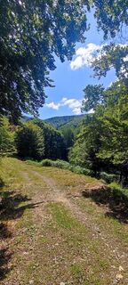 Pratovecchio Stia, Toscana/Italia