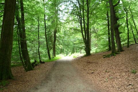 Wanderweg