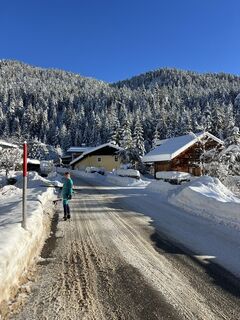 Photo de Heikoala le long du parcours