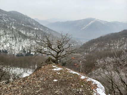 Výří skály
