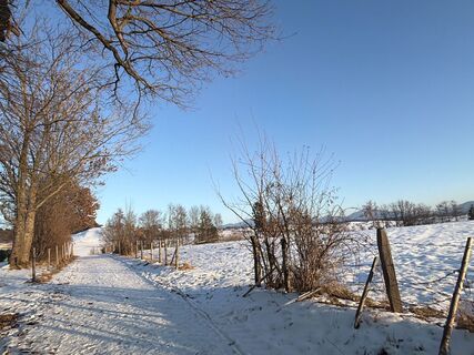 Foto de Anita Maigler a lo largo del recorrido