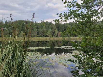 Fotografie z Susanne Linzbacher na trase