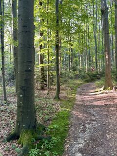 Fotó a Pfalzi honlapról a túra során