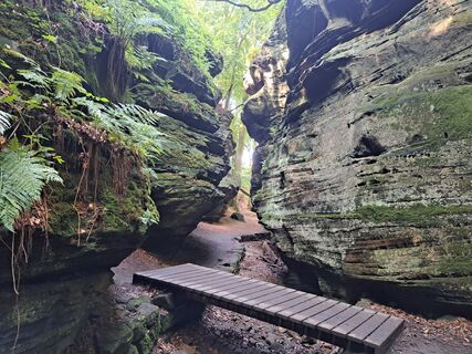 Fotografie z Bellou na trase