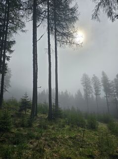 Photo de Florian le long du parcours