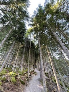 Photo de branka le long du parcours